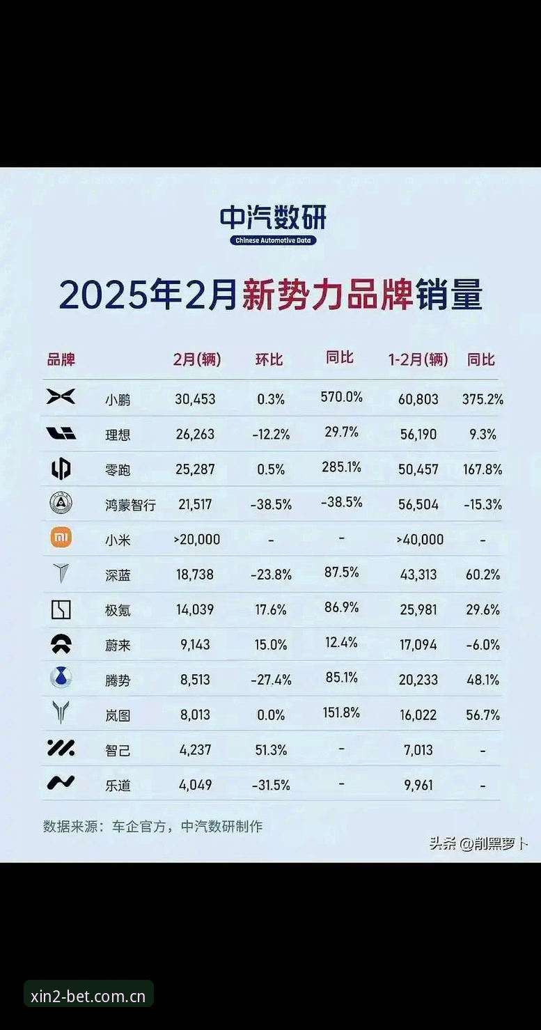 新2官网 新2官网稳定访问实用指南:2025最新入口与代理平台评测
